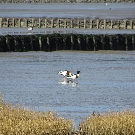 Ferienhaus Greetje Steen *