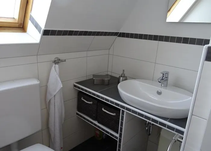 Greetje Steen 多纳莫塞尔