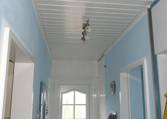 Greetje Steen 多纳莫塞尔