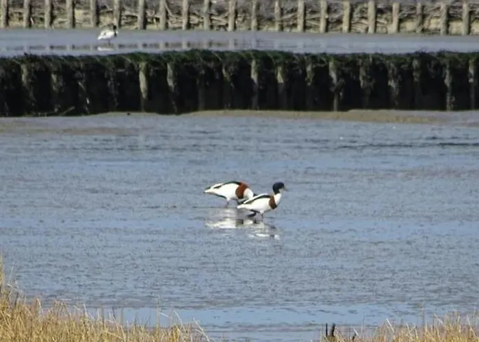 度假居 Greetje Steen *