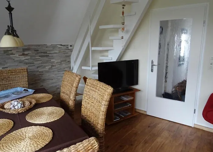 Greetje Steen * 多纳莫塞尔